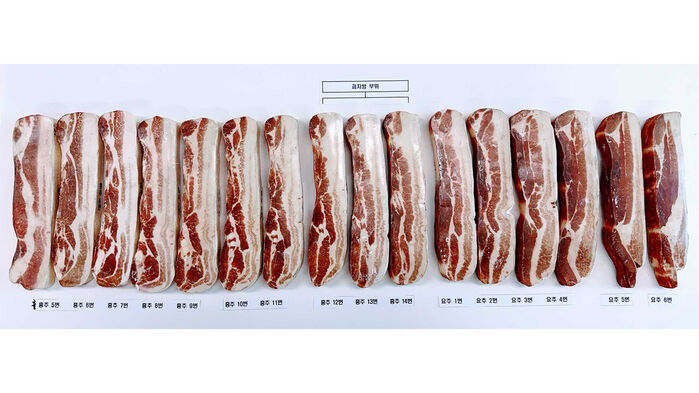 삼겹살로 유통되는 돼지 흉추 5번에서 요추 6번 부위. 이중 가운데가 과지방 부위. (사진=농림축산식품부 제공, 연합뉴스)