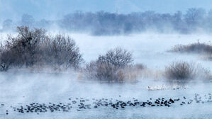 강원 화천 상서 영하 19.7도 '꽁꽁'&hellip;동해안 대기 건조 지속