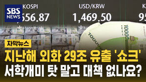 [자막뉴스] 지난해 외화 29조 유출 '쇼크'&hellip;외환당국, 또 서학개미 '주범' 지적했다
