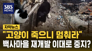 [자막뉴스] "고양이 죽으니 멈춰라"&hellip;백사마을 재개발 이대로 중지?
