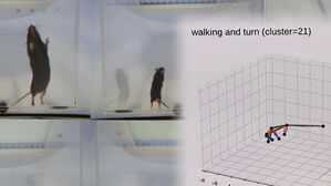 "나 우울증인가?"&hellip;'모호한 정신질환' 진단에 실마리