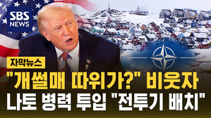 [자막뉴스] "개썰매 따위가?" 비웃자 나토 병력 투입 "전투기 배치"