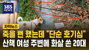 [자막뉴스] 죽을 뻔 했는데 "단순 호기심"&hellip;산책 여성 주변에 화살 쏜 20대