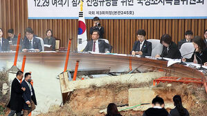 "콘크리트 둔덕 설치 경위, 확인 못했다"&hellip;여야 질타