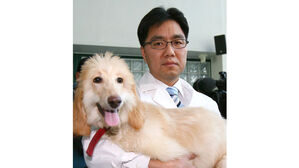 '입시부정' 이병천 전 서울대 교수 1심서 징역 1년 6개월 실형