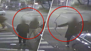 불과 1&sim;2m 옆에 '퍽'&hellip;"호기심에 쐈다" 규제 구멍