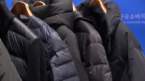 [친절한 경제] "어쩐지 춥더라"&hellip;'구스다운'에 또 속았다