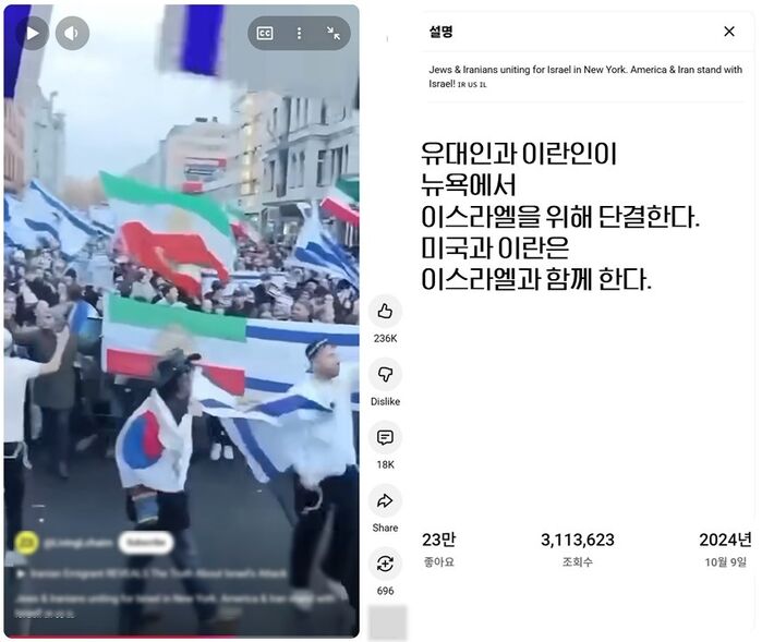 이란 반정부 시위 태극기 허위정보 팩트체크