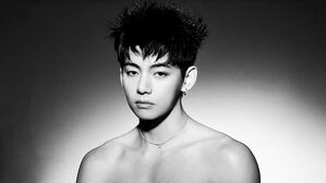 방탄소년단 뷔, 포토북 '타입 비(TYPE 非)' 발간