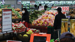 사과 20%&middot;귤 13%&middot;D램 15%&hellip;생산자물가 넉달째 상승