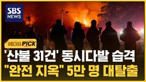 에디터픽 칠레 산불