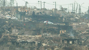 서울 3분의 1 면적이 불탔다&hellip;칠레 "재난 사태" 선포