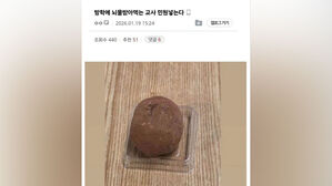 [빅토픽] "뇌물 받은 교사에 민원 넣어"&hellip;'두쫀쿠' 선물도 청탁금지법 위반?