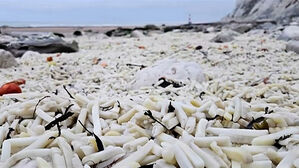 해변 뒤덮은 '수천 봉지' 감자칩&hellip;쏟아져 나와 '와르르' 