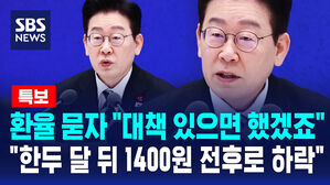 [뉴스특보] 환율 묻자 "대책 있으면 했겠죠" "한두 달 뒤 1400원 전후로 하락"