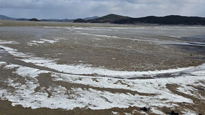 동장군 맹위에 바다도 '꽁꽁'