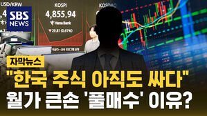 [자막뉴스] "한국 주식 아직 싸다"&hellip;월가 큰손이 말하는 '풀매수' 이유?