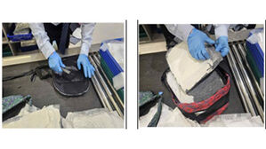 작년 국경서 마약 3.3t 적발, 역대 최대&hellip;여행자&middot;대형 밀수 급증