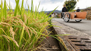 작년 농가 판매가격 2.5% 올라&hellip;구입 가격도 올라