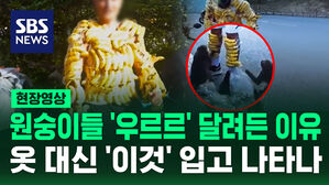 [현장영상] 원숭이 취향 저격? 바나나 온몸에 붙인 남성에 버럭 "야생동물에 먹이를? 정신 나갔나"