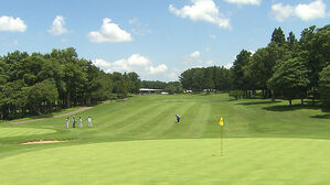 나무 맞고 튕겨나가 머리 '퍽'&hellip;골프공 친 50대 무죄?