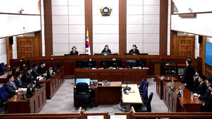 "최고 권력자들의 친위 쿠데타&hellip;독재&middot;내전 위험성"