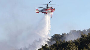 나무 사이로 시뻘겋게 '활활'&hellip;13시간 만에 주불 진화