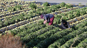 농가 인구 200만 명선 붕괴&hellip;65세 이상 고령자 비중 56%