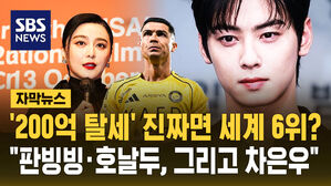 [자막뉴스] '200억 탈세' 진짜면 세계 6위? "판빙빙&middot;호날두, 그리고 차은우"