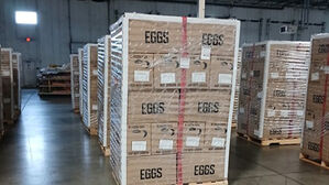 aT, 미국산 계란 224만 개 수입&hellip;첫 물량 오늘 도착