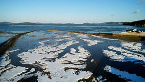 올해 1월, 근래 드물게 평년보다 추웠다&hellip;월말 장기 한파 때문