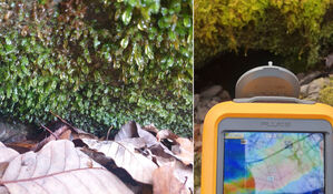 '얼음골, 겨울에 따뜻한 이유는'&hellip;국립수목원 25곳 조사