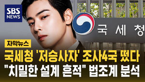 [자막뉴스] 차은우 탈세 의혹에 '저승사자' 등판&hellip;"치밀한 설계" 법조계 분석