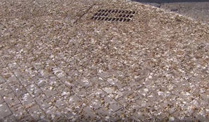 부산 이어 김해까지 "공포"&hellip;시꺼멓게 뒤덮여 '초토화'