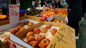 '역대 최대' 27만 톤 푼다&hellip;최대 50% 파격 할인까지 