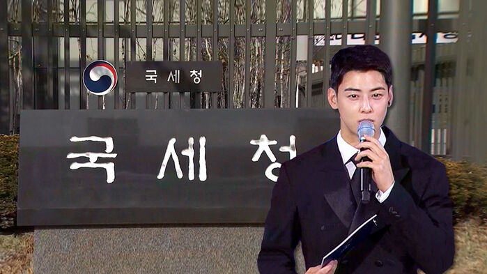 National Tax Service, Cha Eun-woo