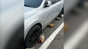 "차 대지 마" 주차장 바닥에 본드로&hellip;분노 부른 사진 