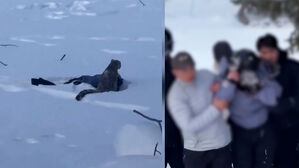 "신기해!" 눈 속에서 발견&hellip;다가갔다 실명할 뻔한 여성 