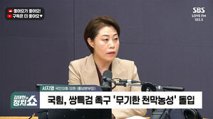 [정치쇼] 서지영 "한동훈 제명? 첫 단추 잘못 꿰어졌다&hellip;지금은 모두 '쿨다운' 필요"
