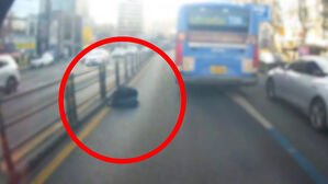 "설마 사람이야?" 운전 중 '경악'&hellip;도로 위 펼쳐진 장면