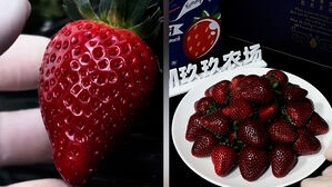 색 거뭇거뭇한데 "딸기계의 명품&hellip;개당 8천 원" 정체 뭐길래  