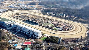 용산&middot;태릉&middot;경마장&hellip;판교 2개 규모, 6만 가구 공급