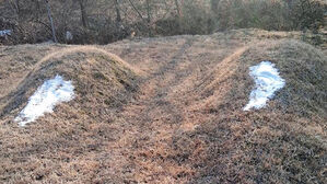 묘지들 위 하얀 가루 '경악'&hellip;정체불명 남성들이 포대째 '탈탈'