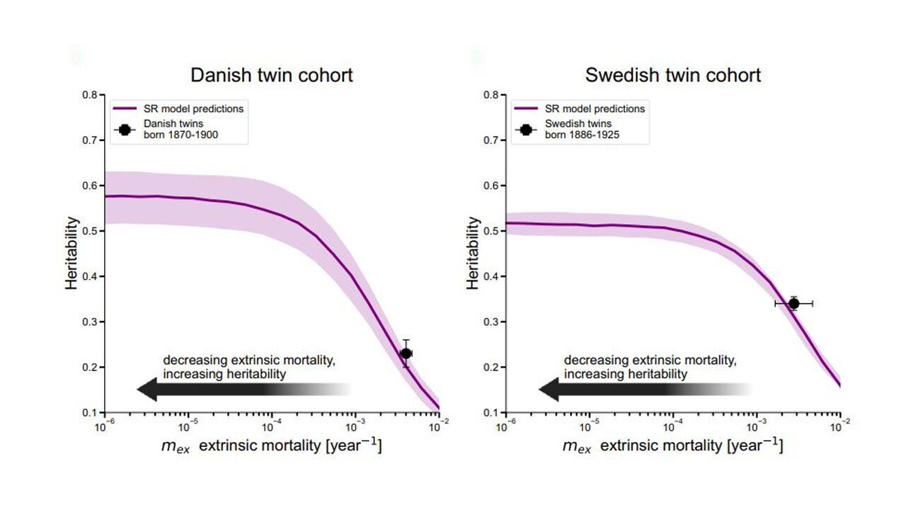 유전적 요인이 사람의 수명에 미치는 영향이 최대 55%에 이른다는 연구 결과 (사진=Science, Uri Alon et al. 제공, 연합뉴스)