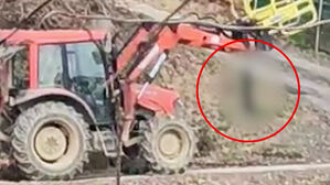 트랙터에 매달고 "목맨 개XX 만들어줄게"&hellip;공포의 이웃