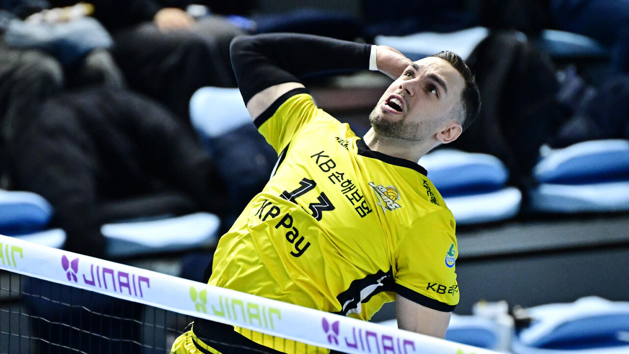 공격하는 KB손해보험의 비예나