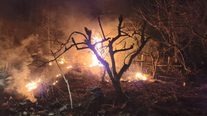 전남 강진 주작산 인근 들에서 화재&hellip;인명 피해 없어