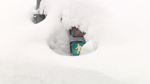 290센티미터 적설에 신호등까지 파묻힌 니가타현