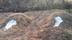 "조상이 꿈에 나와"&hellip;남의 묘소에 '소금 테러'