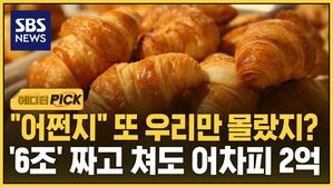 [에디터픽] "어쩐지" 또 우리만 몰랐지?&hellip;'6조' 짜고 쳐도 어차피 2억